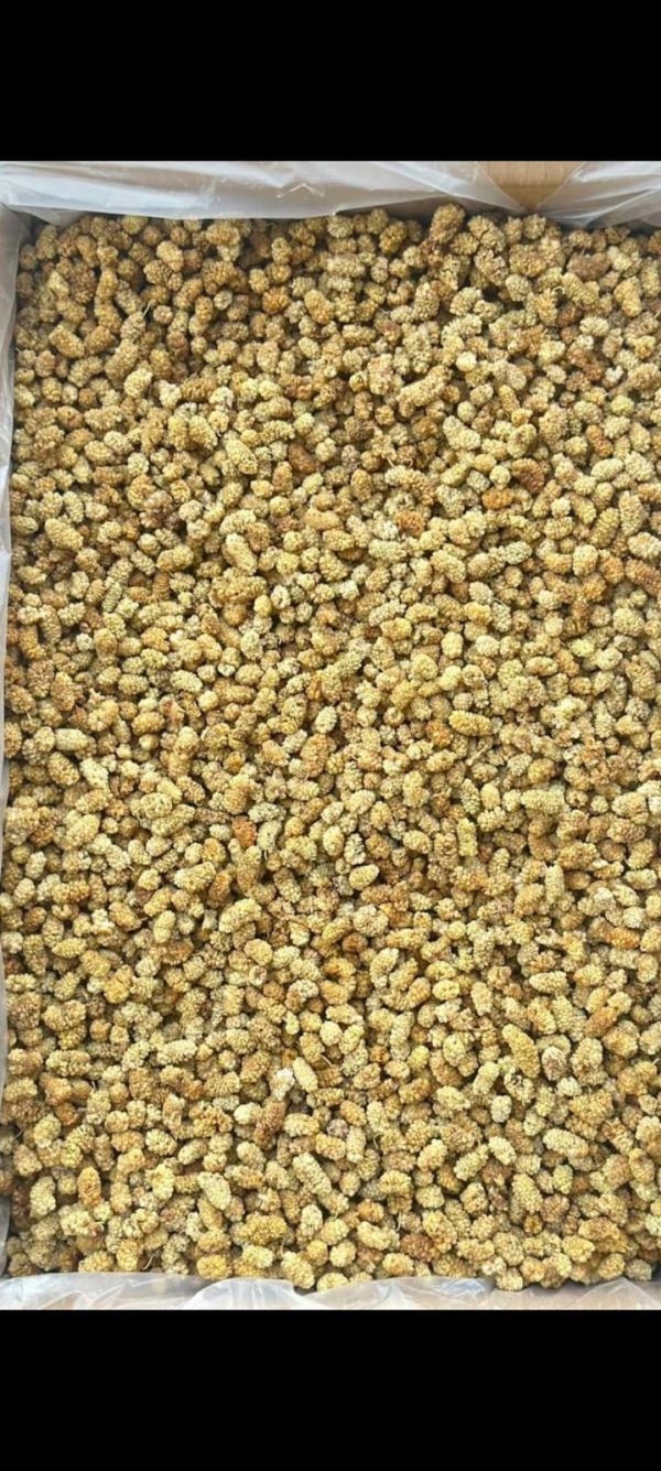 Elazığ çekirdeksiz Dut kurusu 1kg