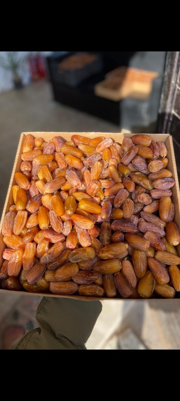 Tunus Hurması Deglet Nour 5kg Paket